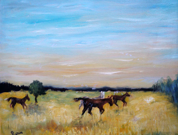 Cai in lanul de rapita